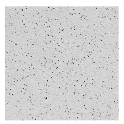 Bodenfliese Feinkorn R10/A Grau 15x15cm