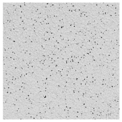Bodenfliese Feinkorn R10/A Grau 20x20cm