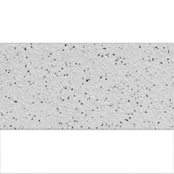 Bodenfliese Feinkorn R10/A Grau 30x60cm