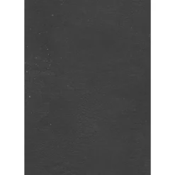 Bodenfliese Malibu Betonoptik Anthrazit 60x120cm