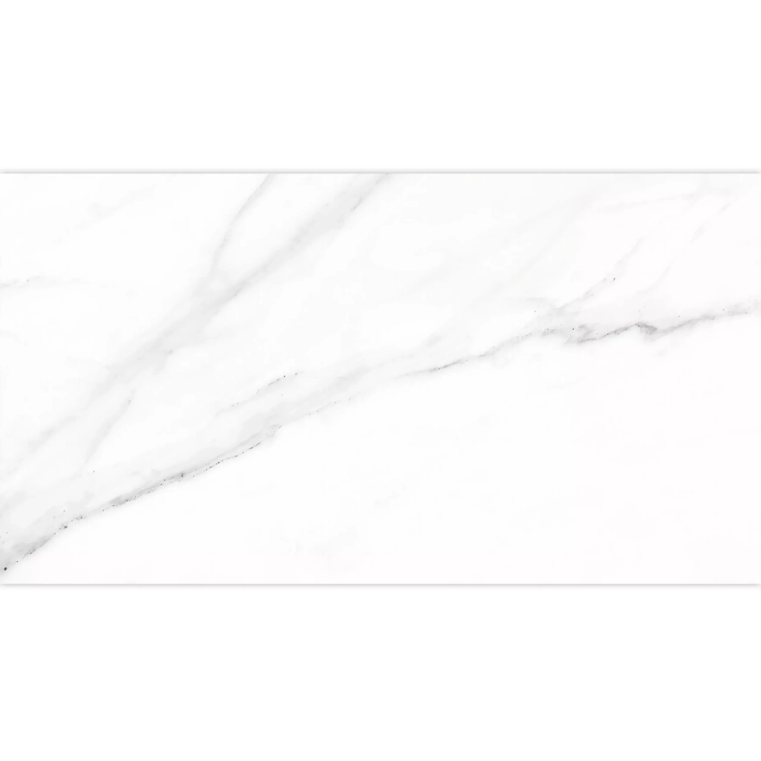 Bodenfliesen Arcadia Marmoroptik Matt Weiß 30x60cm 3 Bodenfliesen Arcadia Marmoroptik Matt Weiß 30x60cm