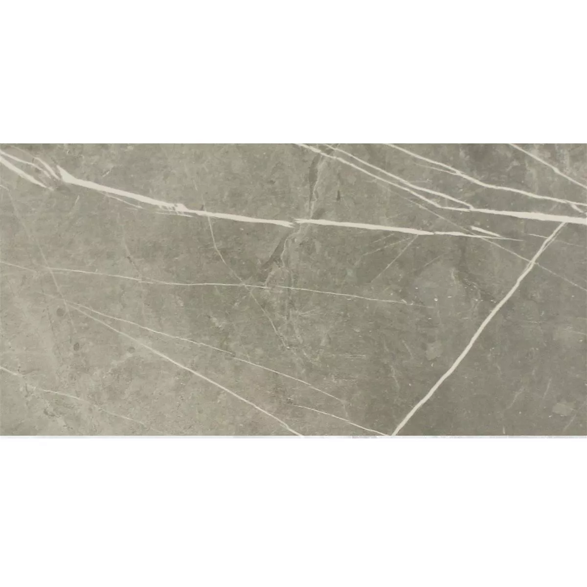 Bodenfliesen Astara Natursteinoptik Poliert Grey 30x60cm 3 Bodenfliesen Astara Natursteinoptik Poliert Grey 30x60cm