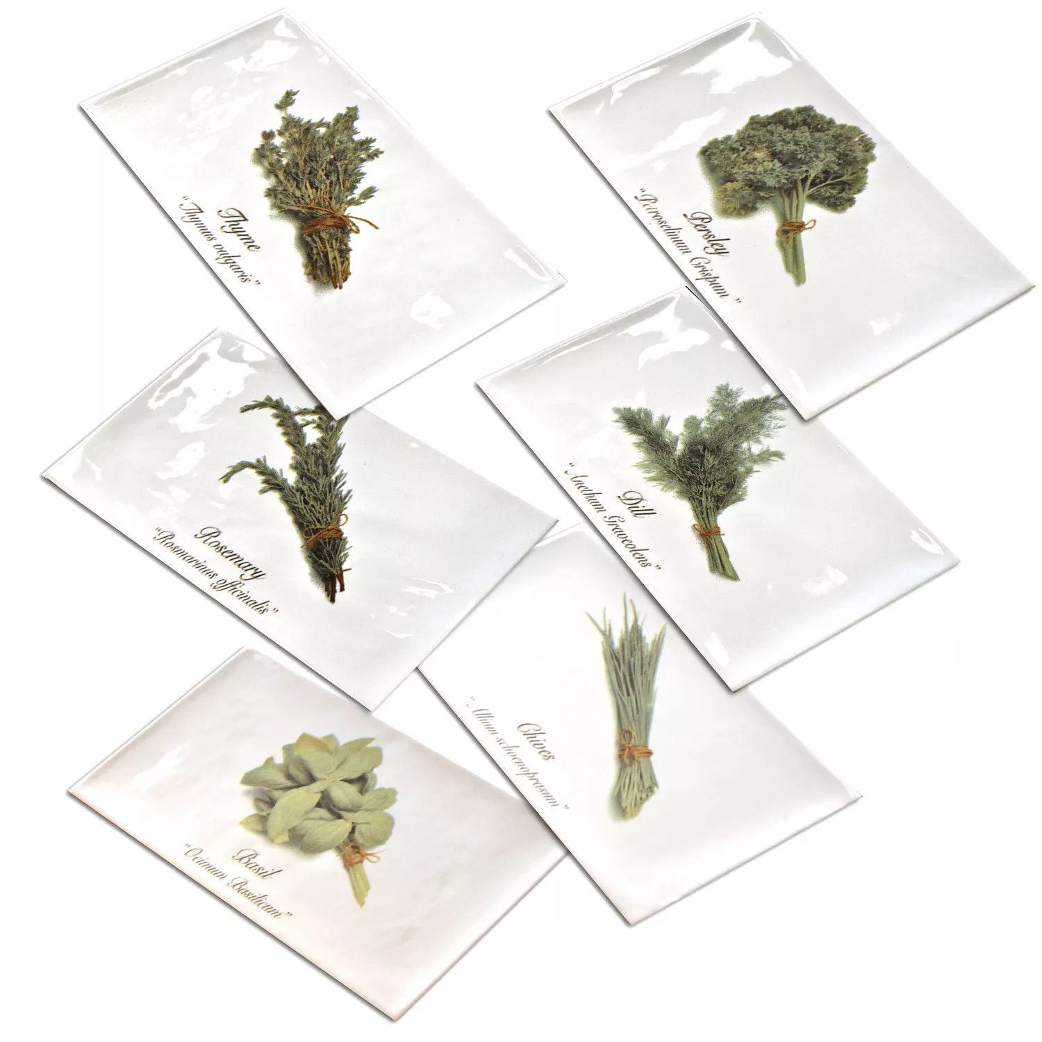 Metro Wandfliesen Dekor Altea Pflanze 6er Set 3 Metro Wandfliesen Dekor Altea Pflanze 6er Set