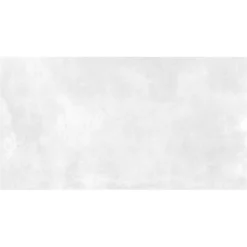 Wandfliesen Viktoria 30x60cm Glänzend Weiß Grau